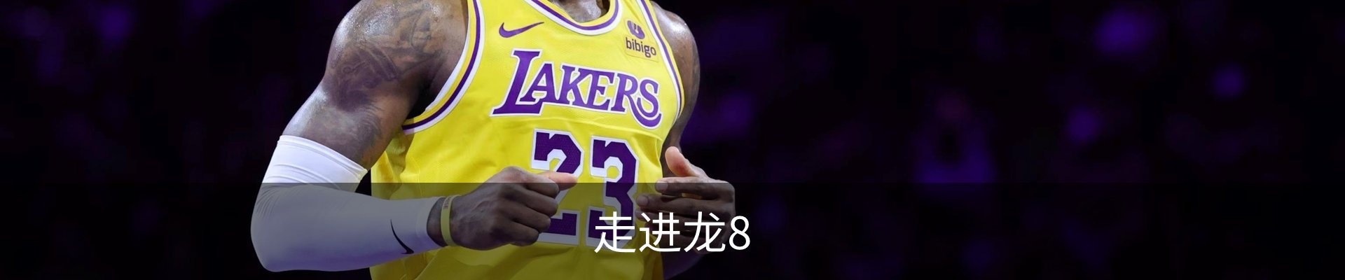 走进龙8
