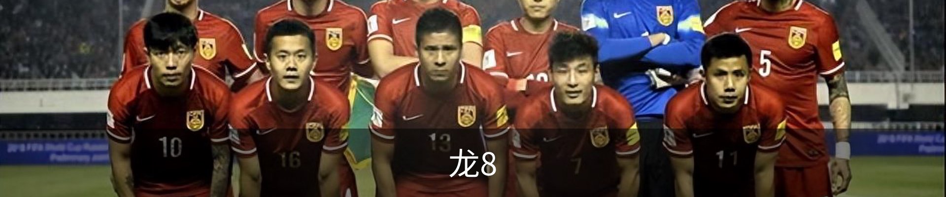 龙8